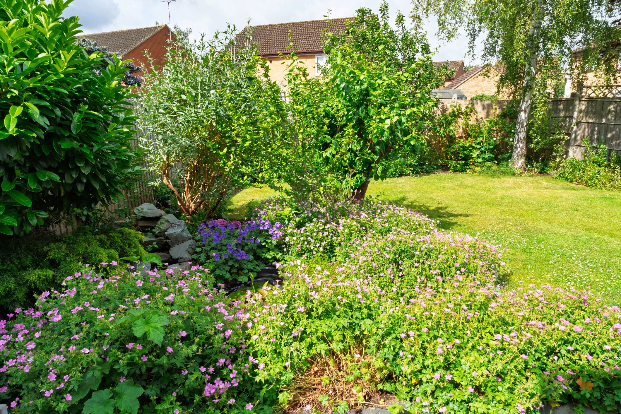 Lush garden area with pond and flowering plants